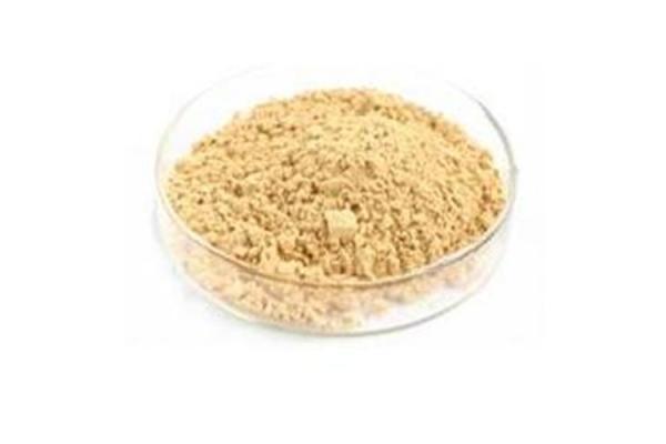 Supplying hot selling natural luo han guo extract