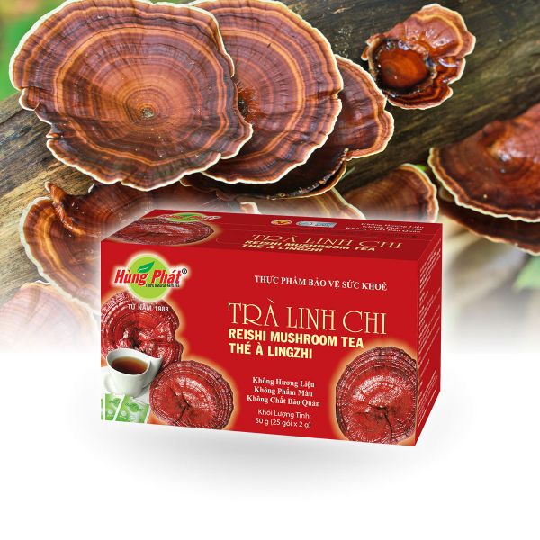 REISHI RUSHROOM TEA