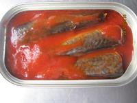 Canned Mackerel