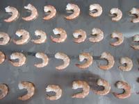 Shrimp