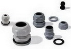 Cable Gland