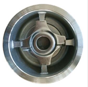 Stainless Steel Wafer Spring Check Valve