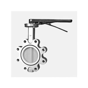 Lug type butterfly valve