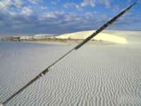 casting fishing surf rod