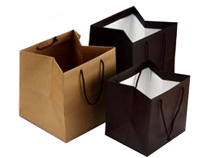kraft paper bags