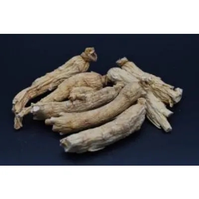 Ginseng Root