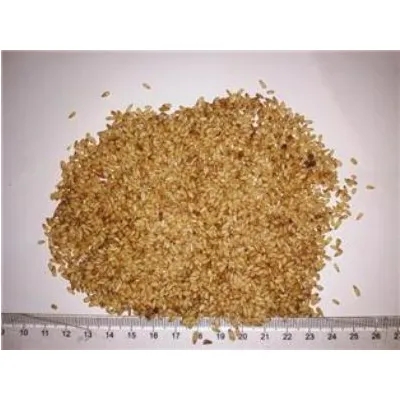 Chinese Arborviae Seed