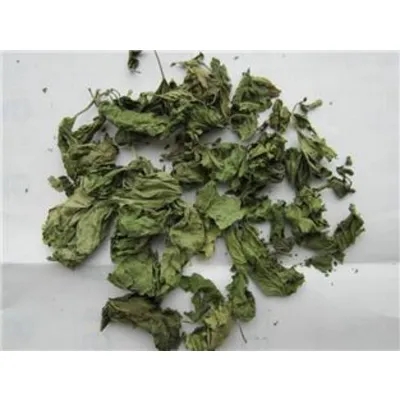 Mulberry Leaf