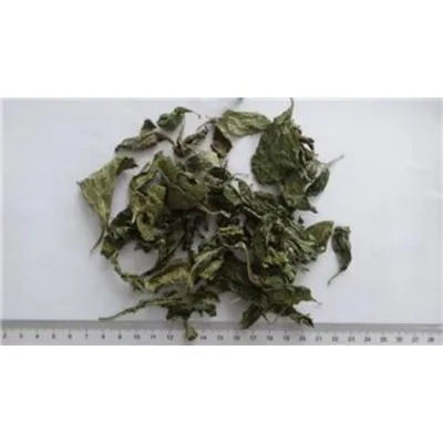 Wolfberry Leaf