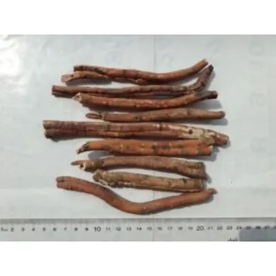 Peony Root Bark