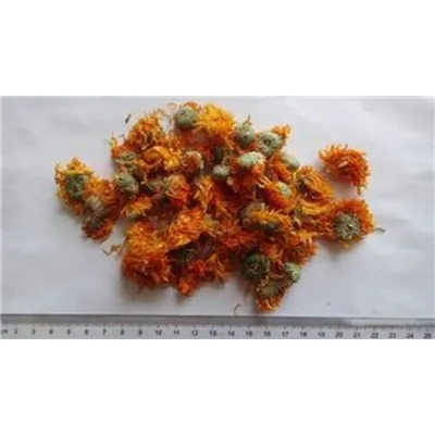 Calendula