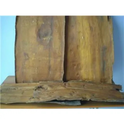 Corktree Bark