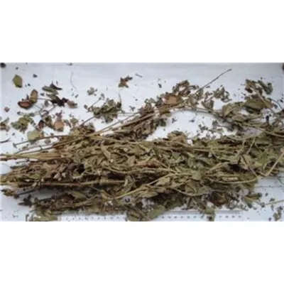 Hairyvein Agrimonia Herb