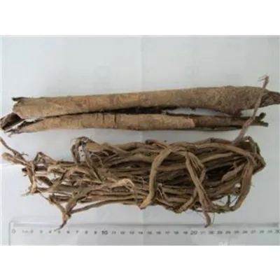 Magnolia Bark
