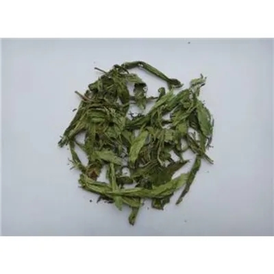 Stevia Leaf