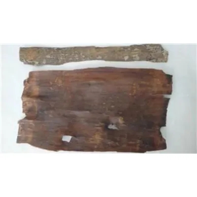 Eucommia Bark