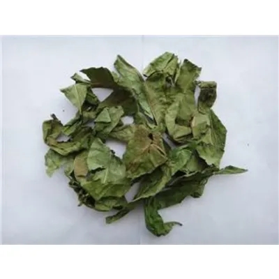 Peach Leaf