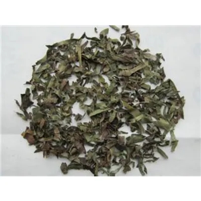 Persimmon Leaf