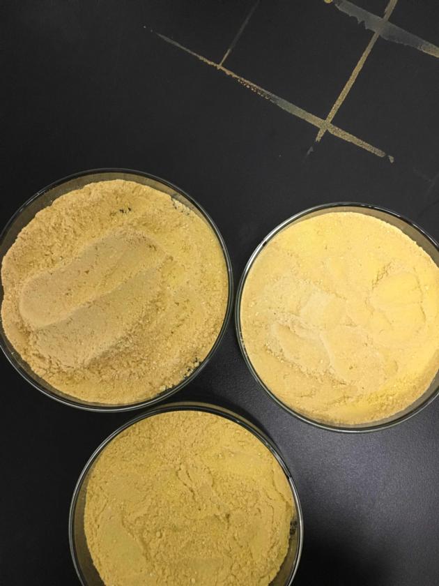 Ferrous Chloride Dihydrate