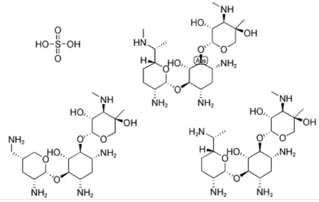 Gentamycin sulphate // Antibiotic // API