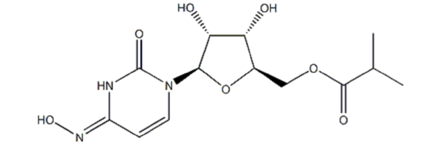 Molnupiravir