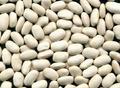 white kidney bean Extract