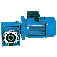 Worm Gear Reducer