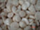 Frozen scallops adductor,IQF