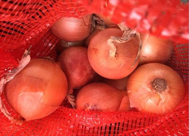 fresh red white and yellow onion whole sale 