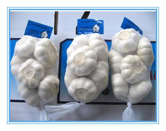 Wholesale Pure White Fresh Natural Garlic