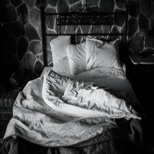 BED SHEET BLANKET PILLOW Amp CUSHION