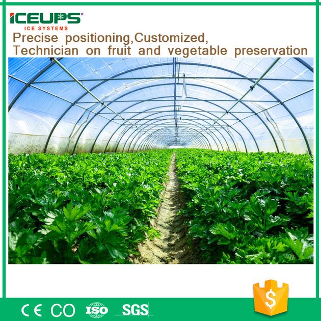 Fresh Vegetable Vacuum Cooler Widely Use