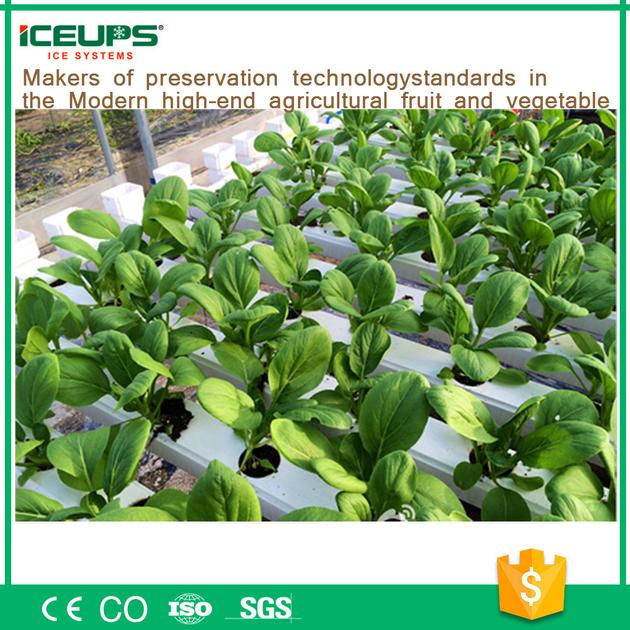 Fresh Vegetable Vacuum Cooler Widely Use