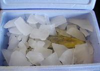 ICEMAN ICE MACHINE---YOUR BEST CHOICE