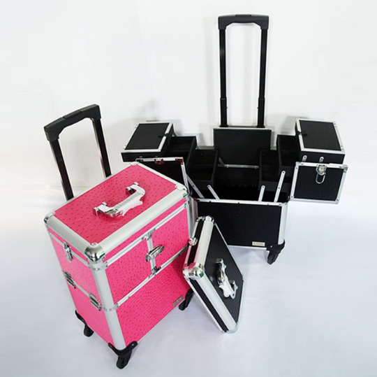Pink Train Beauty Cosmetic Case Expandable