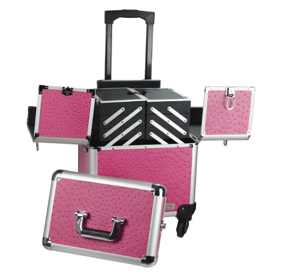 Pink Train Beauty Cosmetic Case Expandable