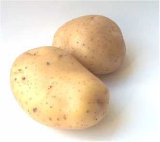 Potato