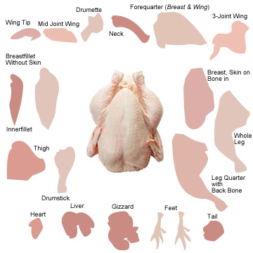 Frozen Halal Whole Chicken, Chicken Feet, Paws