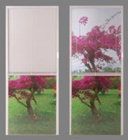 Internal blinds