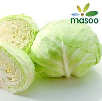 Cabbage from Hebei (China) (Wholesale)