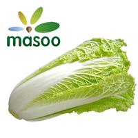Chinese cabbage from Hebei (China) (Wholesale)
