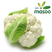 Cauliflower from Hebei (China) (Wholesale)