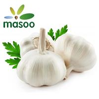 Garlic from Shandong (China) (Wholesale)