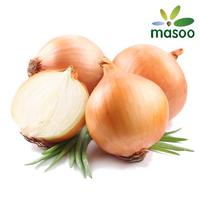 Onion from Shandong (China) (Wholesale)