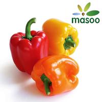 Bell Pepper from Shandong (China) (Wholesale)