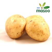 Potato from Shandong (China) (Wholesale)
