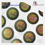 Hologram sticker, security sticker, hologram label 