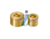 Brass Pipe Plug socket 