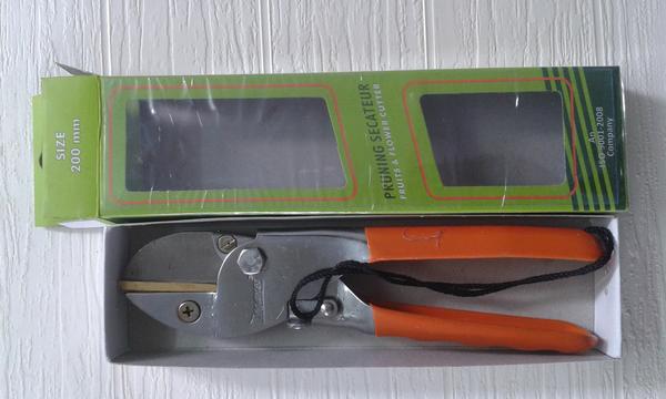 fruit scissor 