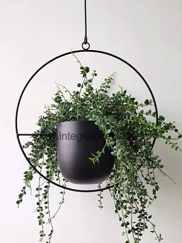 Hanging Planter